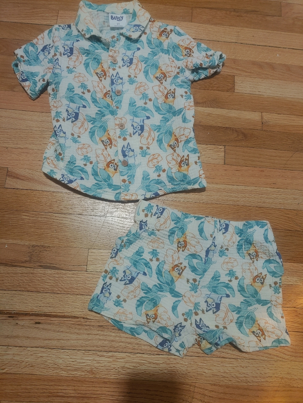 Bluey Boy Short Set in Teal & Cream - Size 3t